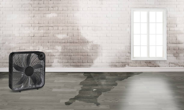  Menard, TX Water damage restoration Pros