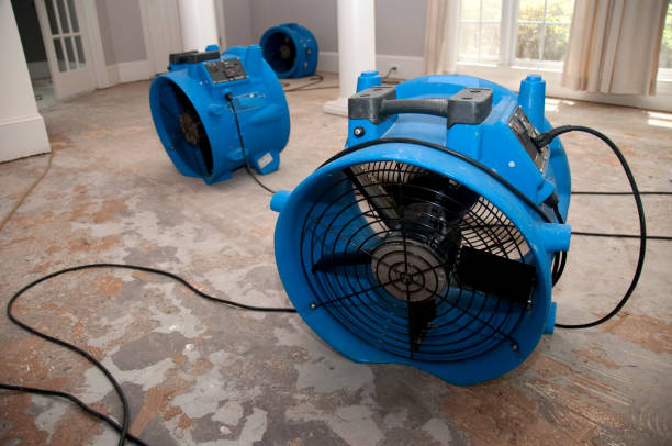 Best 24-hour water damage restoration  in Menard, TX